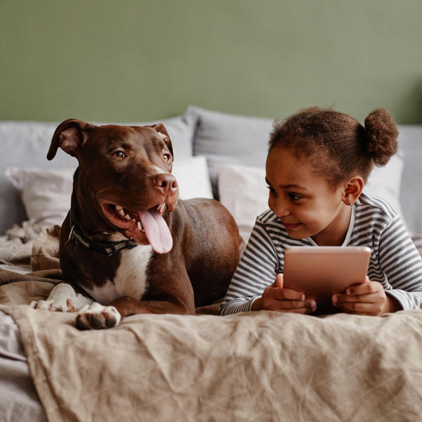 Dog And Child On Bed Stock