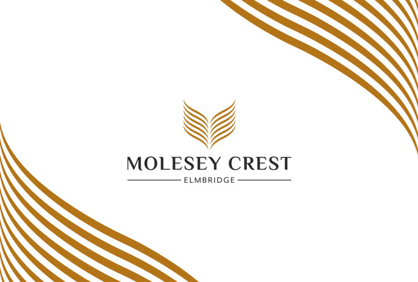 Molesey Crest Logo